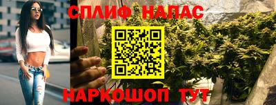 сатива Ливны