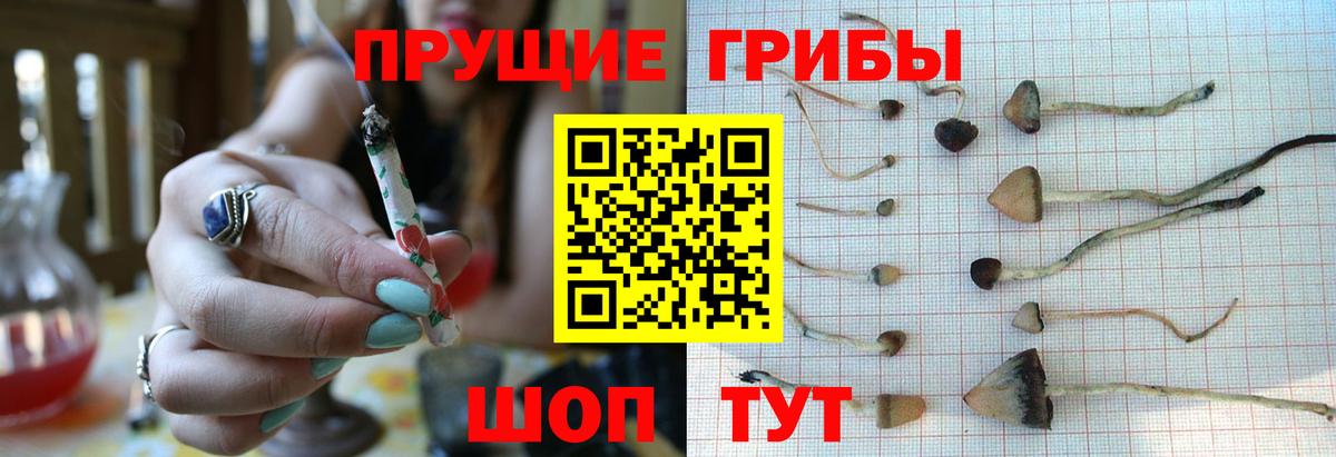 Псилоцибиновые грибы прущие грибы  Вход с VPN  Дзержинск 